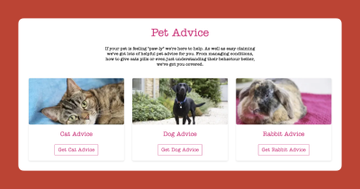 An example from a pet insurance company tested by Attention Insight